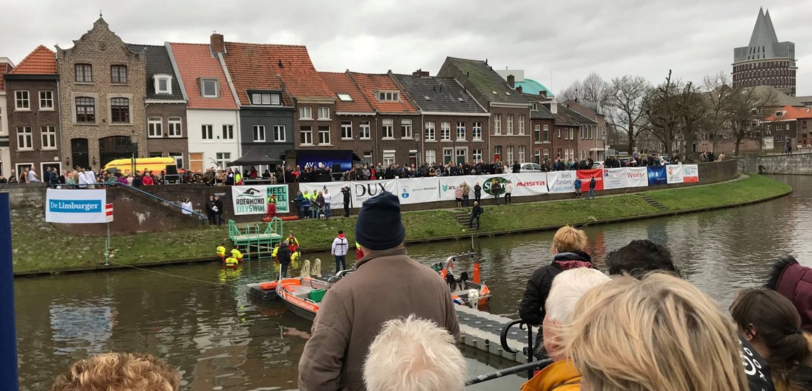 FOXX AV Rental @ Roermond City Swim Neujahrsschwimmen