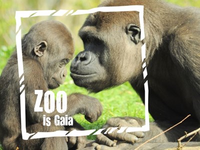 GAIA Zoo Kerkrade