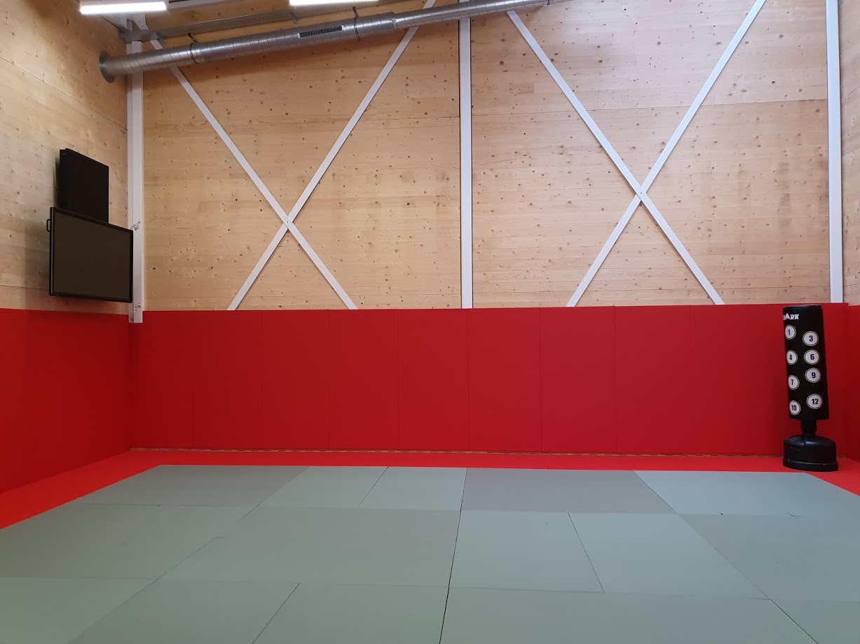 dojo plot limburg clevertouch interactief touchscreen