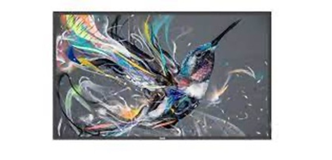Philips Displays by FOXX AV