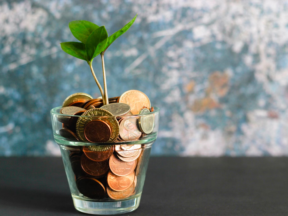 Smart Office & Management